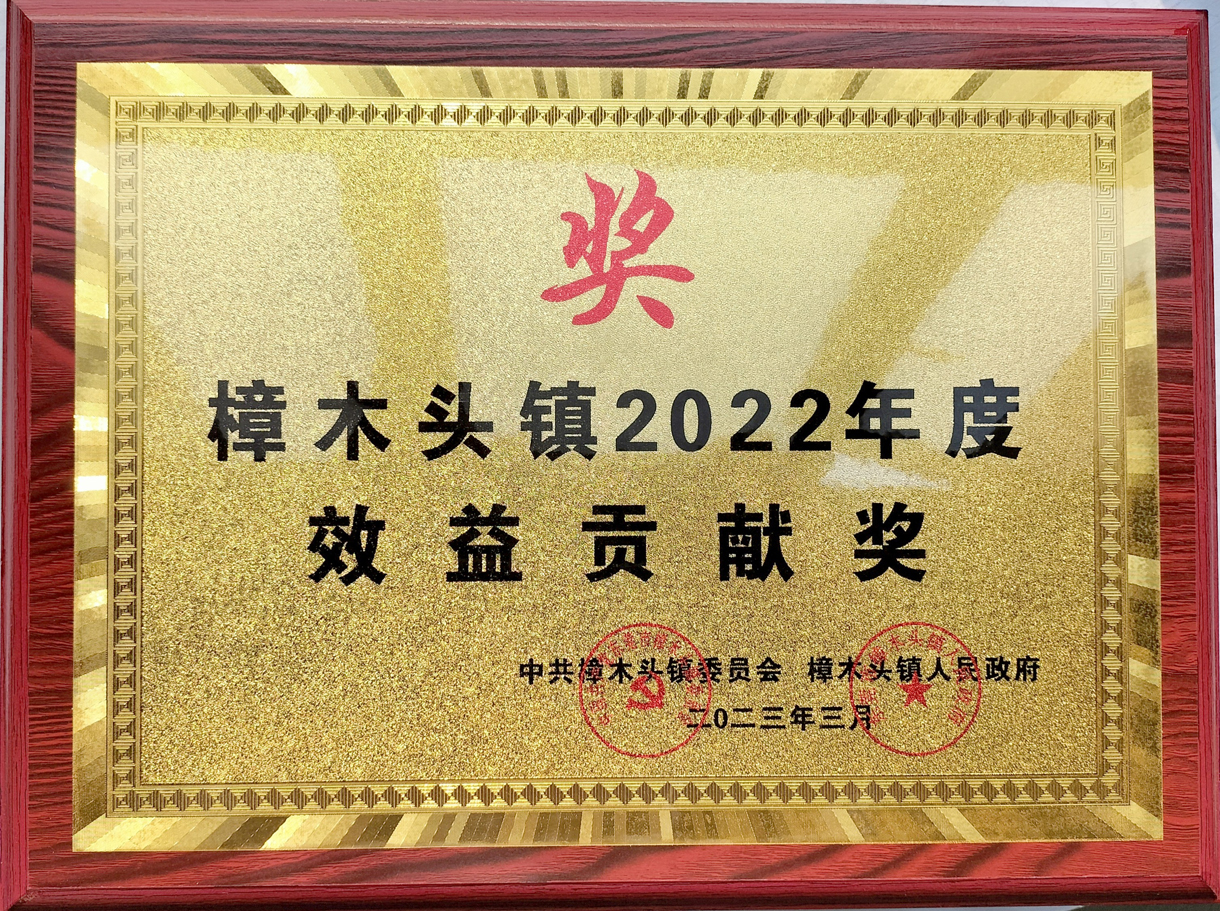 我司被評為“鎮(zhèn)2022年度先進(jìn)